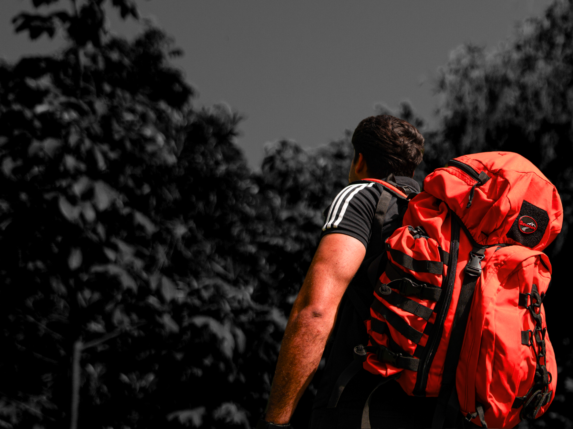 banner-cls